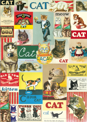 Cats Print