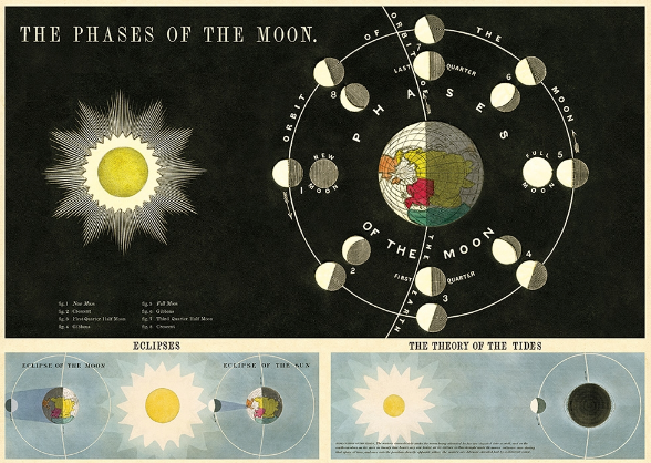 Moon Phase Print